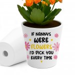Cute Nanny Gift For Birthday Christmas Pot Grandparent Gifts