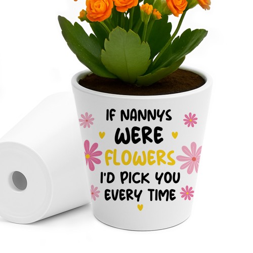Cute Nanny Gift For Birthday Christmas Pot Grandparent Gifts