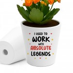 Funny Gift For Colleague Plant Pot New Job Gift Leaving Present