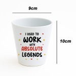 Funny Gift For Colleague Plant Pot New Job Gift Leaving Present