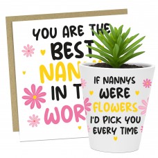Gift For Nanny Birthday Christmas Card And Flower Pot Nanny Gift