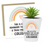 Thank You Gift For Colleague Plant Pot And Card New Job Gift