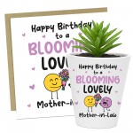Birthday Gift For Mother In Law BLOOMING LOVELY MOTHER IN LAW