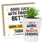 Funny Gift For Colleague Plant Pot And Card New Job Gift Leaving