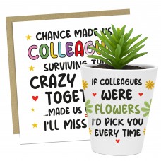 FUNNY GIFT For Colleague Plant Pot And Card Gift For Him Her
