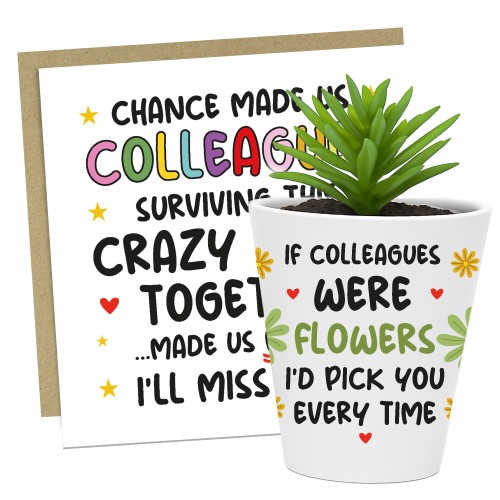 FUNNY GIFT For Colleague Plant Pot And Card Gift For Him Her