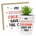 Gift For Colleague Funny Plant Pot And Card Gift For Him Her