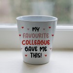 Gift For Colleague Funny Plant Pot And Card Gift For Him Her