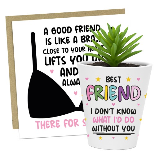 Gift For Best Friend Funny Plant Pot And Card Gift For Him Her