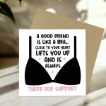 Gift For Best Friend Funny Plant Pot And Card Gift For Him Her