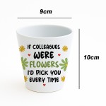 Cute Gift For Colleague Birthday Christmas Flower Pot Thank You