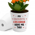 Funny Gift For Colleague Birthday Christmas Flower Pot
