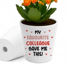 Funny Gift For Colleague Birthday Christmas Flower Pot