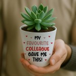 Funny Gift For Colleague Birthday Christmas Flower Pot
