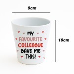 Funny Gift For Colleague Birthday Christmas Flower Pot