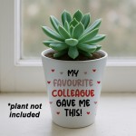 Funny Gift For Colleague Birthday Christmas Flower Pot