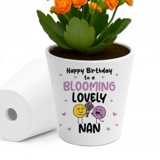 Birthday Gifts For Nan Plant Pot Keepsake Nan Birthday Gifts
