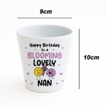 Birthday Gifts For Nan Plant Pot Keepsake Nan Birthday Gifts Birthday Gifts For Nan Plant Pot Keepsake Nan Birthday Gifts