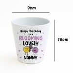 Birthday Gifts For Nanny Plant Pot Keepsake Nanny Birthday Gifts