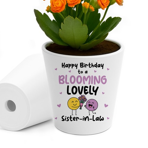 Birthday Gifts For Sister In Law Plant Pot Friendship Keepsake