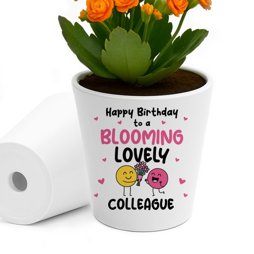 Birthday Gifts For Colleague Plant Pot Friendship Keepsake