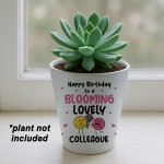Birthday Gifts For Colleague Plant Pot Friendship Keepsake
