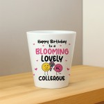 Birthday Gifts For Colleague Plant Pot Friendship Keepsake