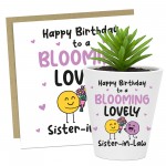 Birthday Gift For Sister In Law BLOOMING LOVELY SISTER IN LAW