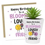 Birthday Gift For Friend BLOOMING LOVELY FRIEND Card Plant Pot Birthday Gift For Friend BLOOMING LOVELY FRIEND Card Plant Pot
