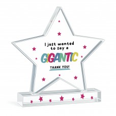 Thank You Gifts For Volunteer Colleague Friend Appreciation Gift