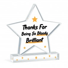 Appreciation Gifts For Him Her Thank You Gifts Brilliant Plaque