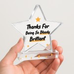Appreciation Gifts For Him Her Thank You Gifts Brilliant Plaque