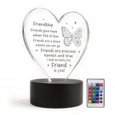 Friendship Gifts Acrylic LED Light Friendship Gift For Her