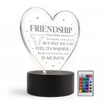 Funny Rude Friendship Plaque LED Light Novelty Best Friend Gift