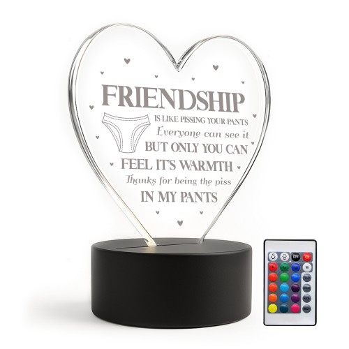 Funny Rude Friendship Plaque LED Light Novelty Best Friend Gift