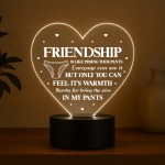 Funny Rude Friendship Plaque LED Light Novelty Best Friend Gift