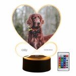 Dog Memorial Plaque Picture With LED Light Photo Frame