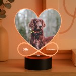 Dog Memorial Plaque Picture With LED Light Photo Frame