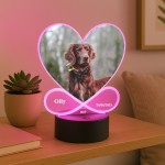 Dog Memorial Plaque Picture With LED Light Photo Frame