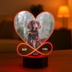 Dog Memorial Plaque With LED Light Forever In My Heart Sign