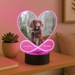 Personalised Dog Memorial Photo Frame Picture With LED Light