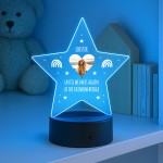 Dog Memorial Plaque With LED Light Pet Photo Sign Personalised