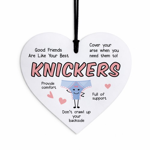 Funny Best Friend Birthday Gift For Women Friend Humour Gift 