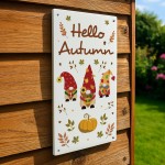 Hello Autumn Decorations Acrylic Plaque Leaves Pumpkin Decor Hello Autumn Decorations Acrylic Plaque Leaves Pumpkin Decor