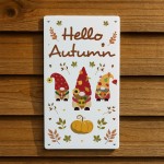 Hello Autumn Decorations Acrylic Plaque Leaves Pumpkin Decor Hello Autumn Decorations Acrylic Plaque Leaves Pumpkin Decor