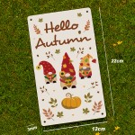 Hello Autumn Decorations Acrylic Plaque Leaves Pumpkin Decor Hello Autumn Decorations Acrylic Plaque Leaves Pumpkin Decor