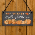 Hello Autumn Hanging Plaque Autumn Decorations Autumnal Decor