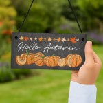 Hello Autumn Hanging Plaque Autumn Decorations Autumnal Decor