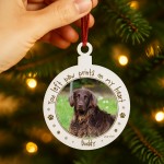Memorial Bauble For Dog Puppy With Photo Personalised Plaque