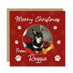 Merry Christmas Card From The Dog Personalised Photo Card